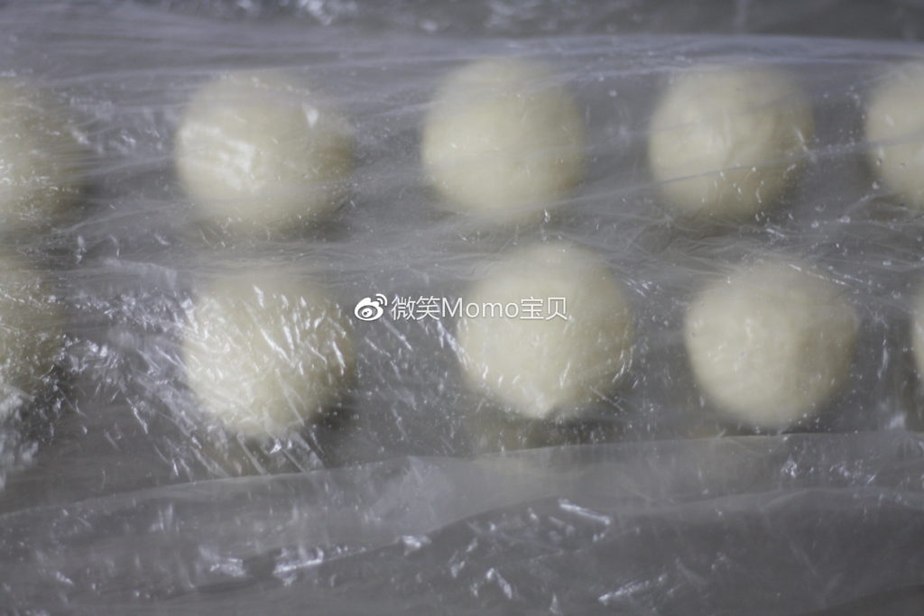 天然之林 Naturalam