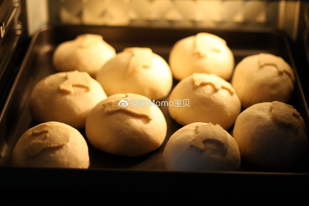 天然之林 Naturalam