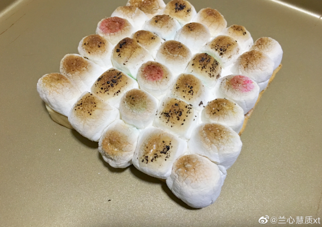 天然之林 Naturalam
