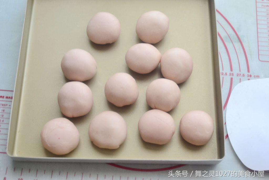 天然之林 Naturalam