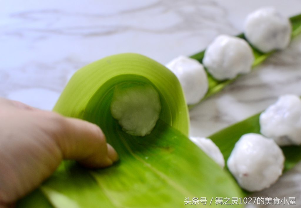 天然之林 Naturalam