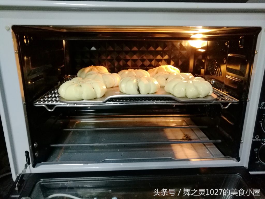 天然之林 Naturalam