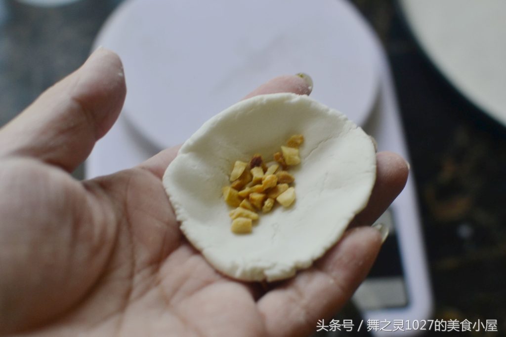 天然之林 Naturalam